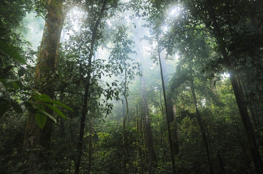 Over 100 people died or went missing in search of - The Lost City of Z.