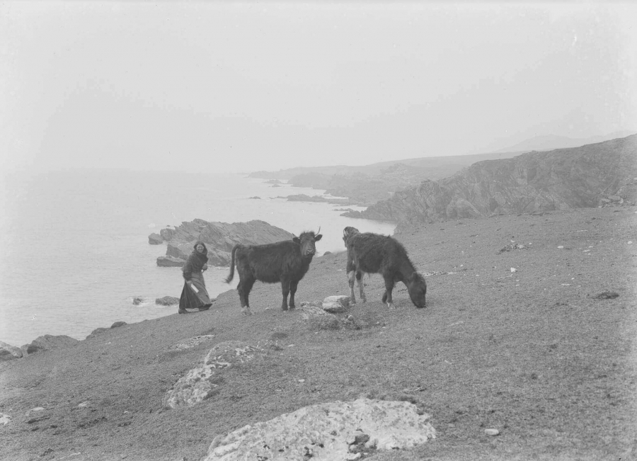 Charles Boycott's first experience of managing vast stretches of land started from Achill Island.